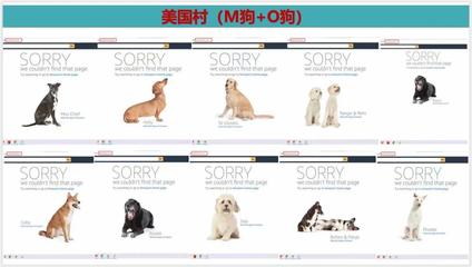 糟心!500個鏈接侵權變狗!賣家親自下場開撕黑心代工廠!